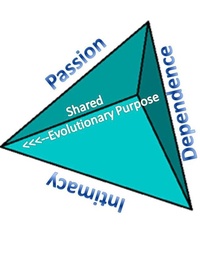 Picture for Building your Conflict Resolution Skills package